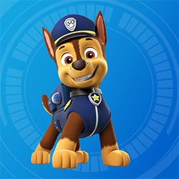 Šunyčiai patruliai