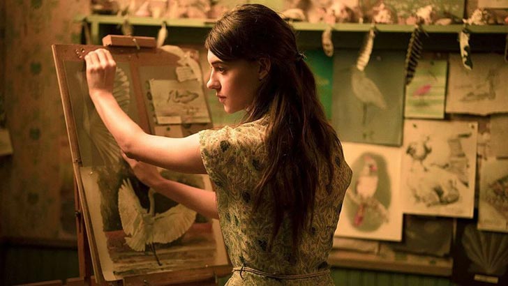 Žiūrėti vaizdo įrašą