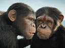 Beždžionių planetos karalystė filmas
