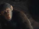 Beždžionių planetos karalystė filmas