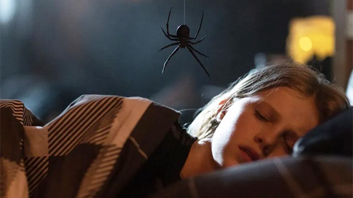 Žiūrėti vaizdo įrašą