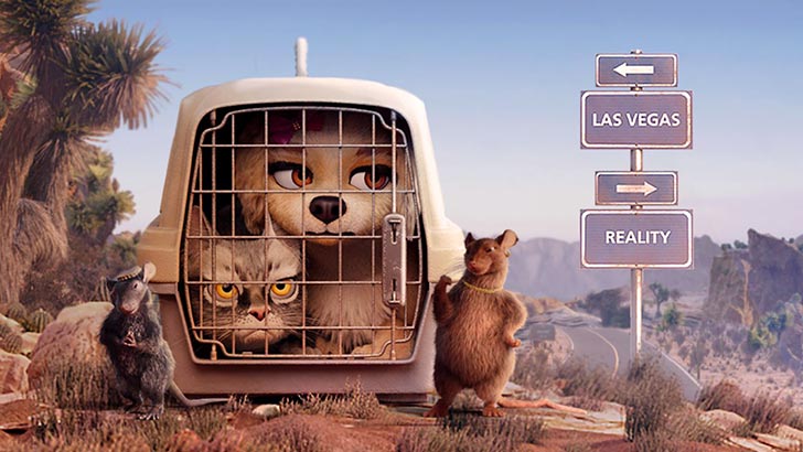 Žiūrėti vaizdo įrašą