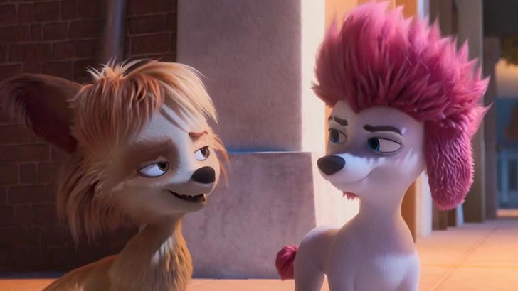 Žiūrėti vaizdo įrašą