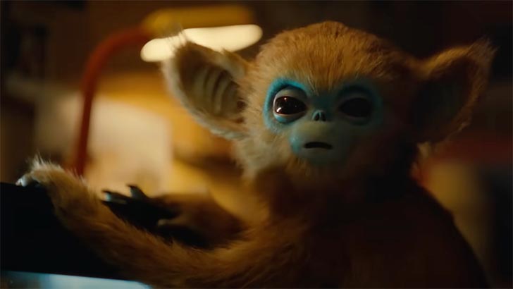 Žiūrėti vaizdo įrašą