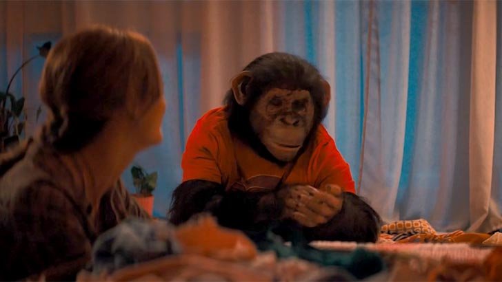 Žiūrėti vaizdo įrašą